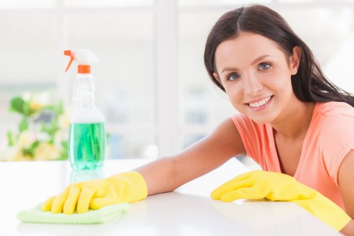 Professional window cleaning in Battersea for bright, clear residential and commercial glass