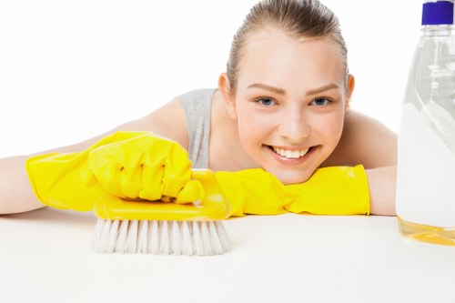 Professional home cleaners in Battersea cleaning a modern living room