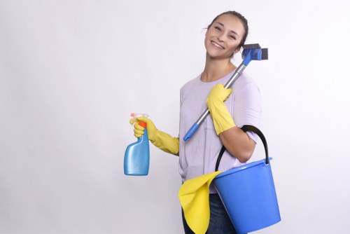 Deep carpet cleaning equipment for Battersea homes and offices