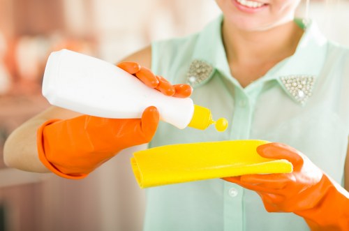 Modern carpet cleaning equipment used in Battersea property