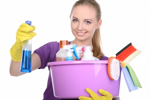 Battersea cleaners providing domestic and deep cleaning in a home