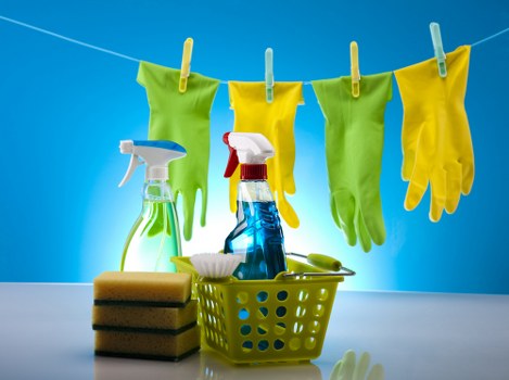 Policy review and continuous improvement for carpet cleaning safety