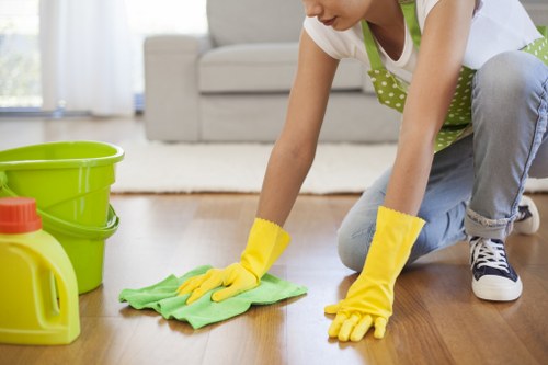 Detailed post-construction dust removal in Battersea property