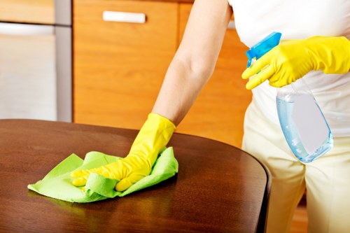 Professional cleaning service in Battersea for kitchens and bathrooms